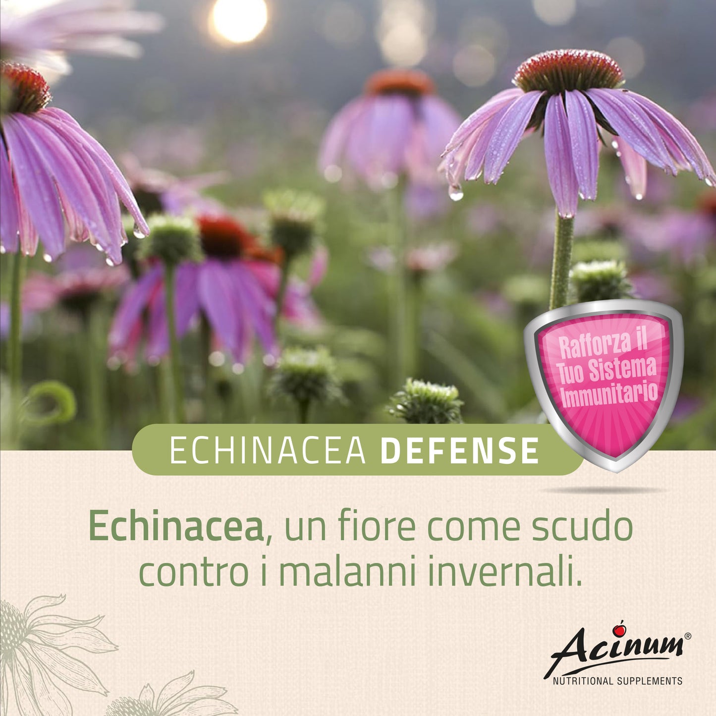 Echinacea Defense