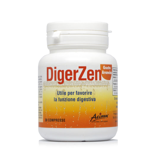 DigerZen