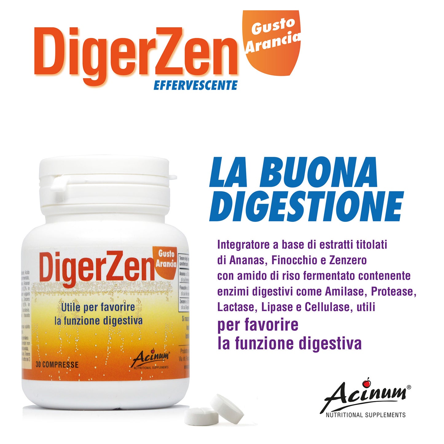 DigerZen