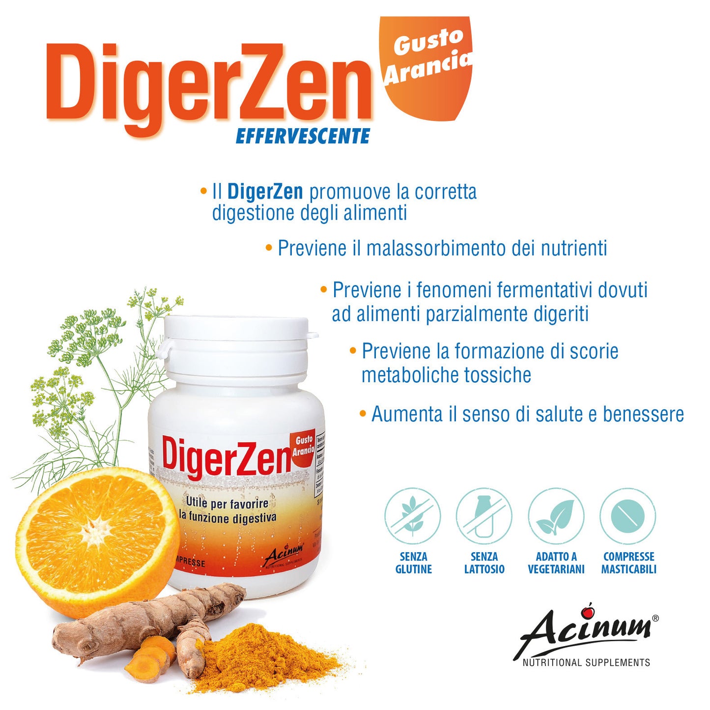 DigerZen
