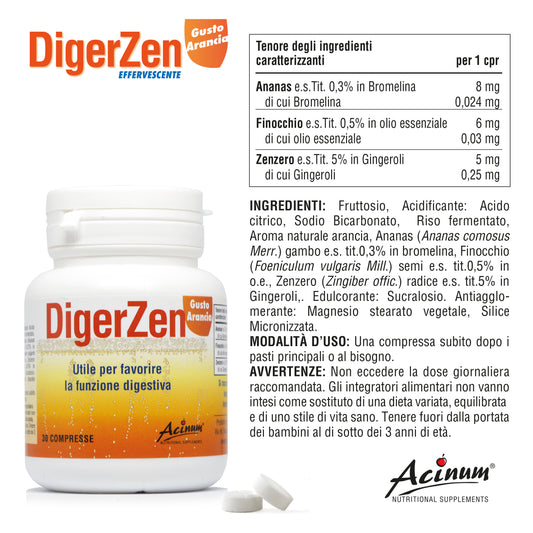 DigerZen