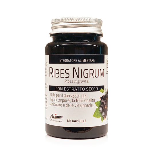 Ribes Nero