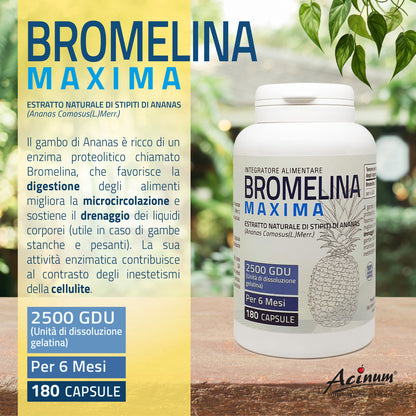 Bromelina Maxima