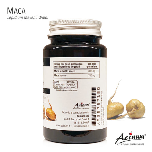 Maca