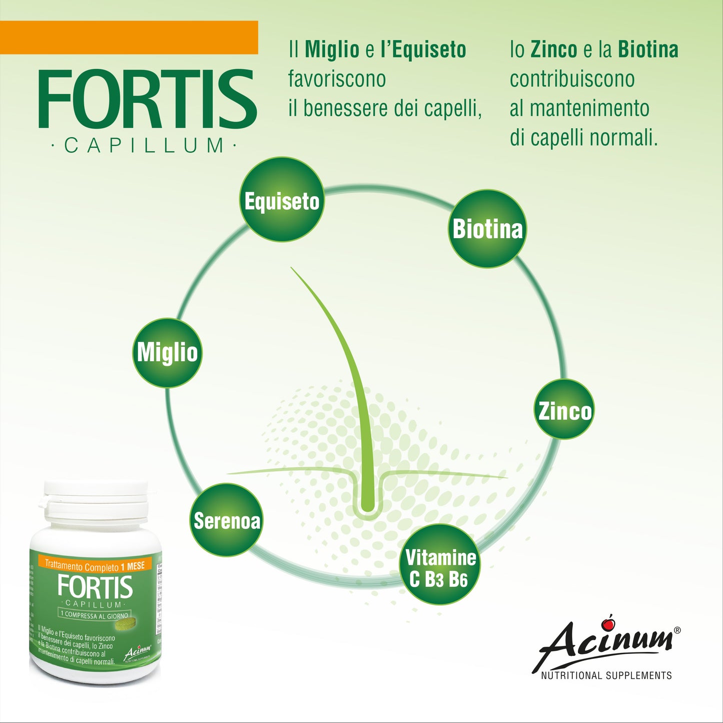 Fortis Capillum