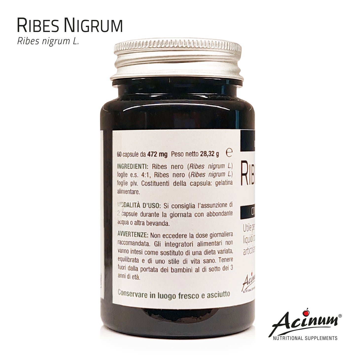 Ribes Nero