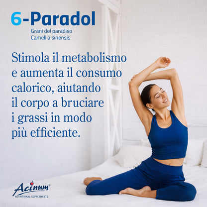 6-Paradol