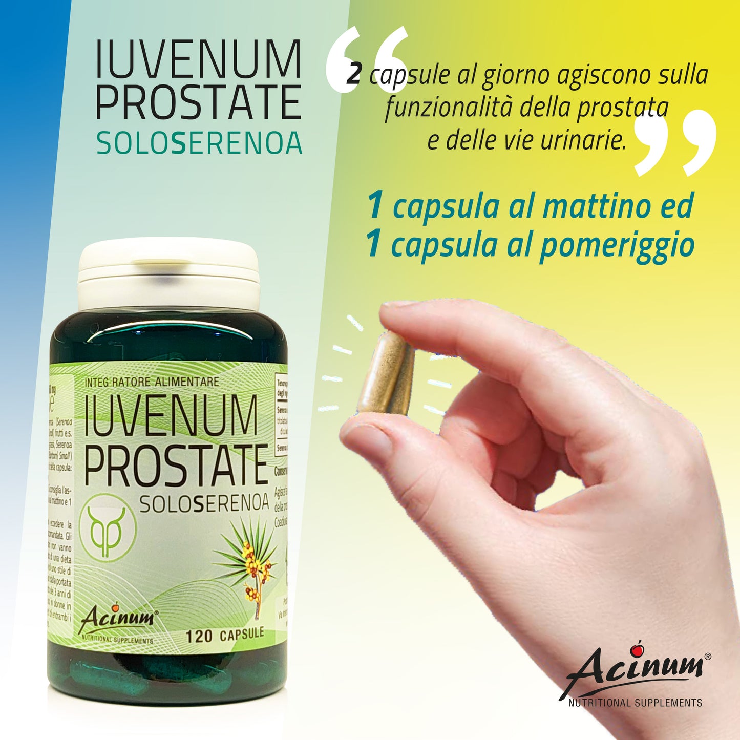 Iuvenum Prostate