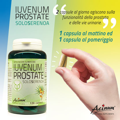 Iuvenum Prostate