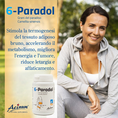 6-Paradol