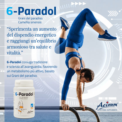 6-Paradol